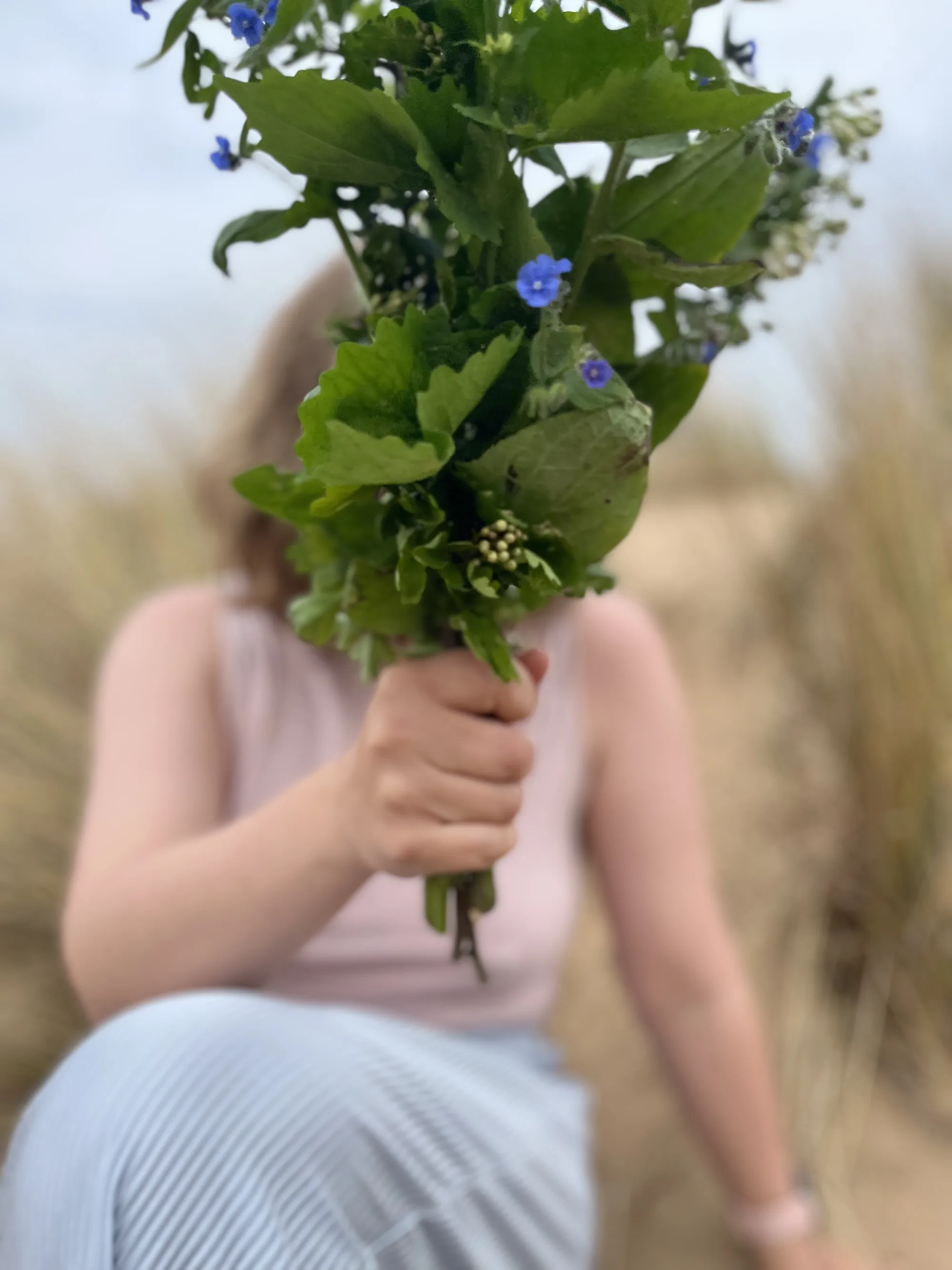Eine Hand hält einen frisch gepflückten Wildkräuterstrauß mit blauen Blüten vor das Gesicht