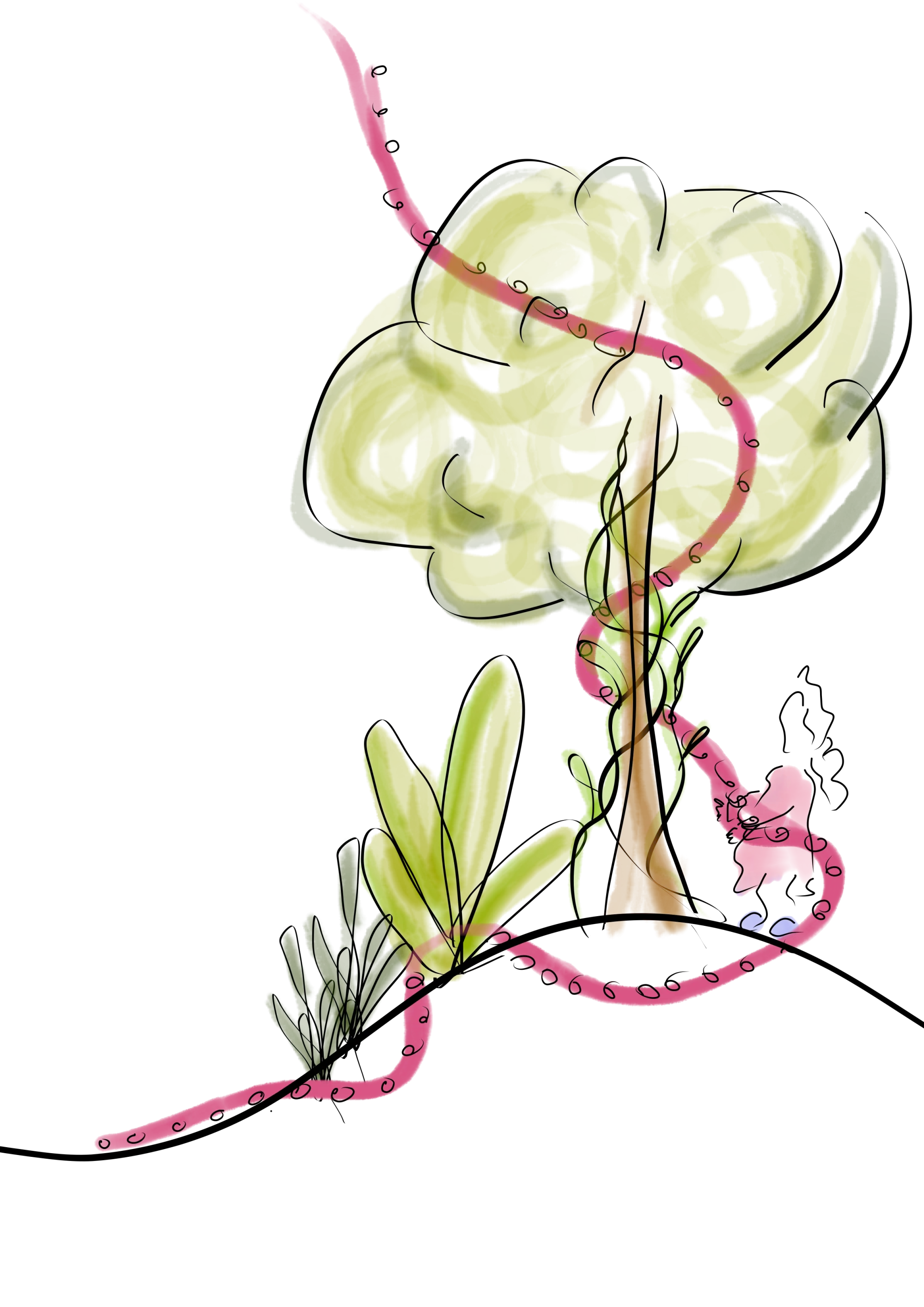 Handgezeichnete Pflanzengilde für einen Apfelbaum mit Begleitpflanzen wie Schnittlauch, Knoblauch, Ringelblume, Kapuzinerkresse, Minze und Erdbeere