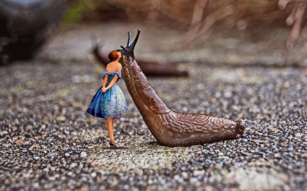 🐌 Natürliche Feinde der Schnecken und wie Du wirklich langfristig weniger Schnecken in deinem Garten hast. 1 Natürliche Feinde der Schnecken